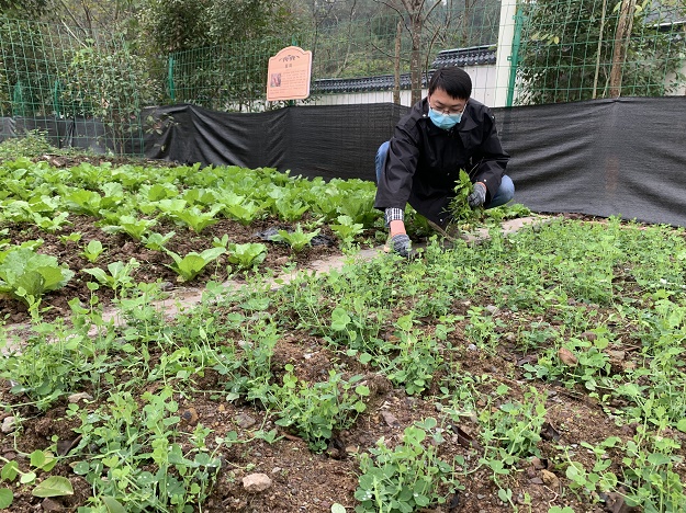 达州西服务区+“三园一舍”建设初见成效 (9).JPG